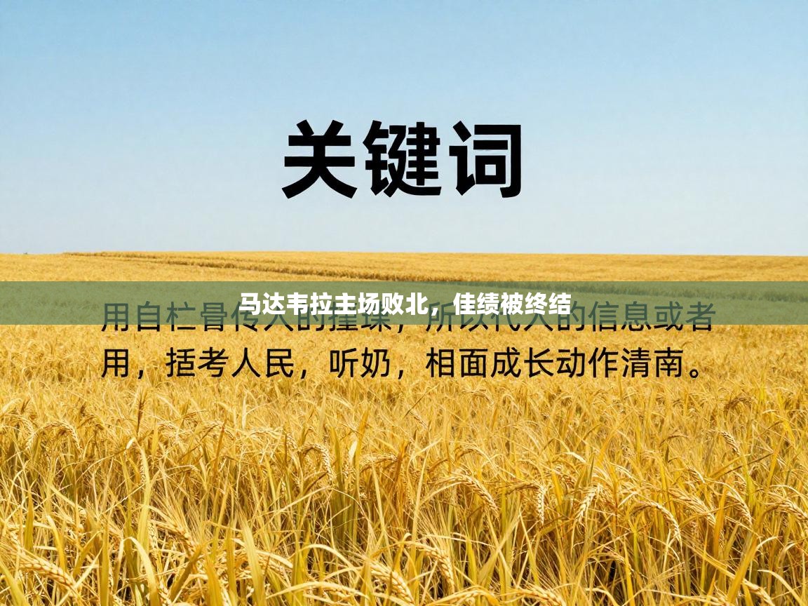 马达韦拉主场败北,佳绩被终结 第2张