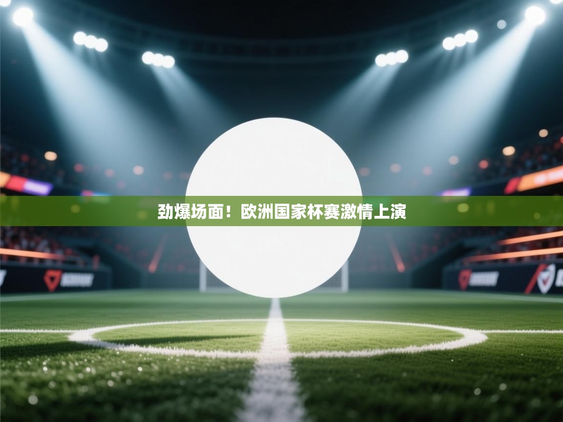 劲爆场面!欧洲国家杯赛激情上演 第1张