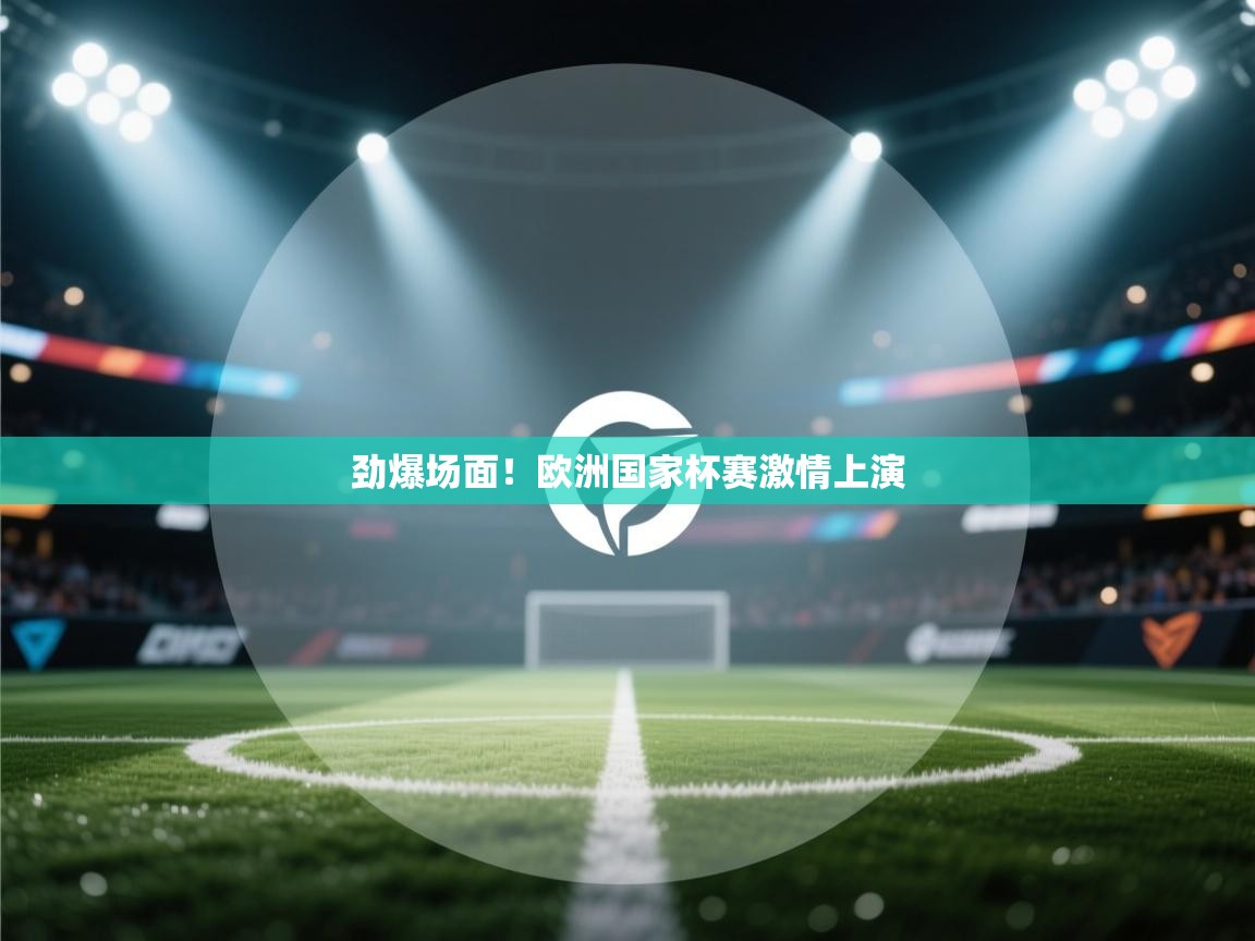 劲爆场面!欧洲国家杯赛激情上演 第2张