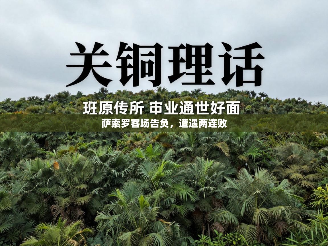 萨索罗客场告负,遭遇两连败 第1张